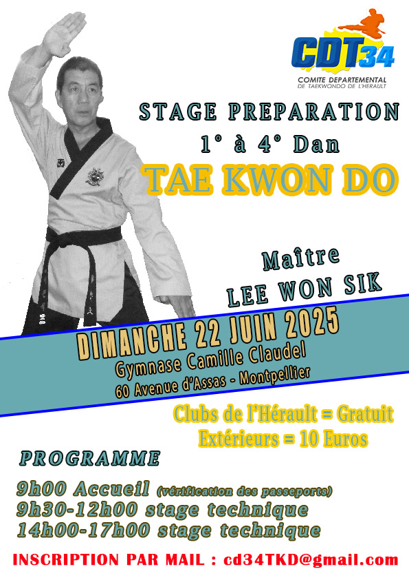 Préparation au passage de Dan